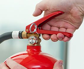 Fire supressor
